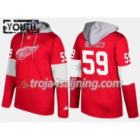 Detroit Red Wings Tyler Bertuzzi 59 N001 Hooded Sweatshirt - Barn Detroit Red Wings Tyler Bertuzzi 59 N001 Hooded Sweatshirt - Barn